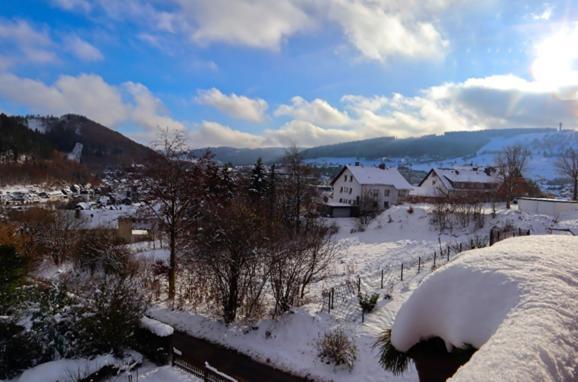 Hotel Haus Kieferneck Willingen  Exterior foto
